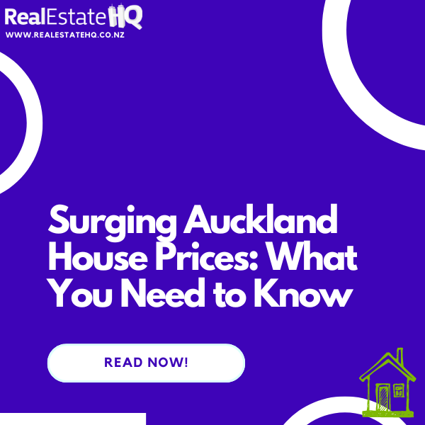 real estate hq featured image auckland housing market 27